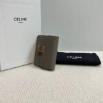 Celine CARD HOLDER WITH FLAP TRIOMPHE IN SHINY CALFSKIN 10I583 PEBBLE - Image 4