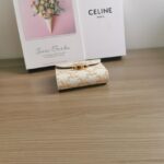 Celine SMALL FLAP WALLET TRIOMPHE IN TRIOMPHE CANVAS 10D783 white - Image 2