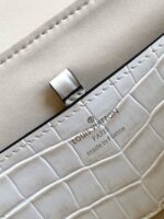 Louis Vuitton Calfskin M84714 light gray - Image 5