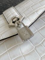 Louis Vuitton Calfskin M84714 light gray - Image 6