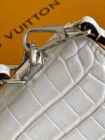 Louis Vuitton Calfskin M84714 light gray - Image 4