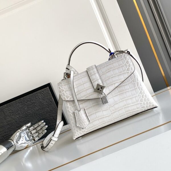 Louis Vuitton Calfskin M84714 light gray