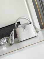 Louis Vuitton Capucines MINI M98156 light gray