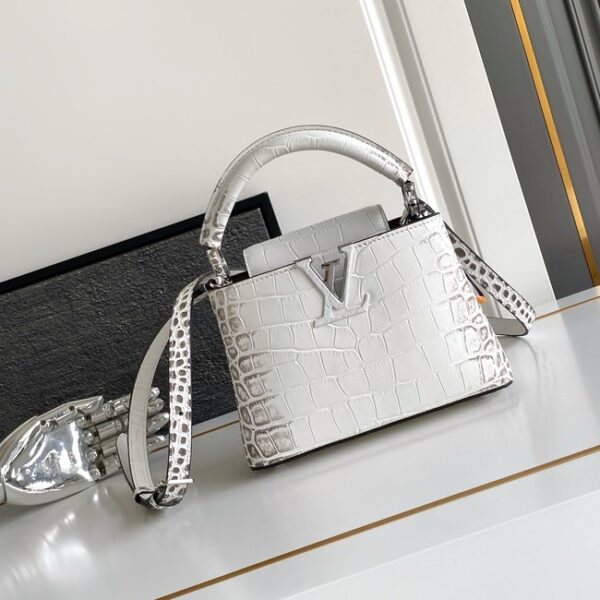 Louis Vuitton Capucines MINI M98156 light gray