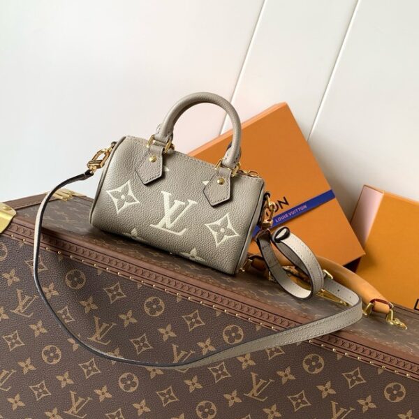 Louis Vuitton Nano Speedy M82450 gray