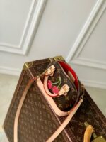 M13416 Louis Vuitton NEW LV x TM Nano Alma - Image 6