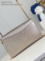 M23756 Louis Vuitton Pochette Louise light gray - Image 2