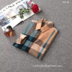 Designer Woman Clothes Burberry Woman Check Cotton Shirt S8209 - Image 5